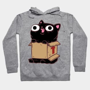 Cat In A Box Hoodie